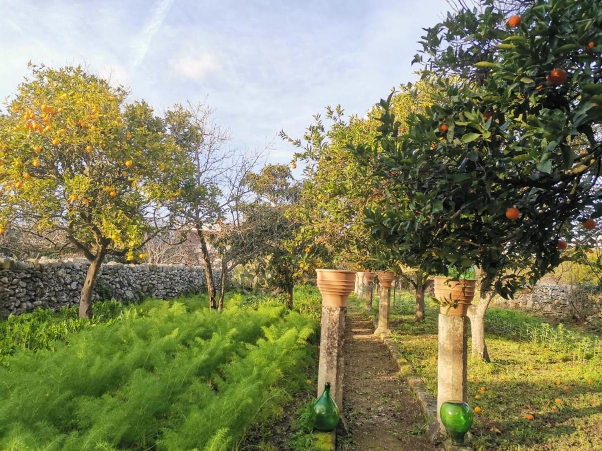 Dimora Margherita In Salento Struda Ngoại thất bức ảnh